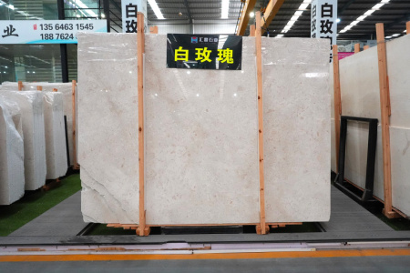 白玫瑰