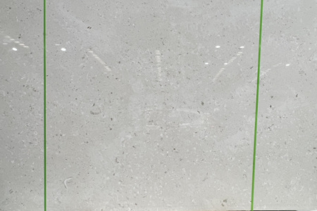 白蘑菇，貝格白