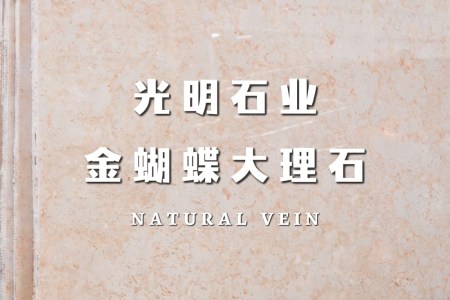 金蝴蝶