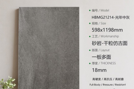 HBMG21214光年中灰