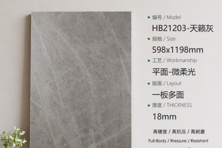 HB21203天籟灰