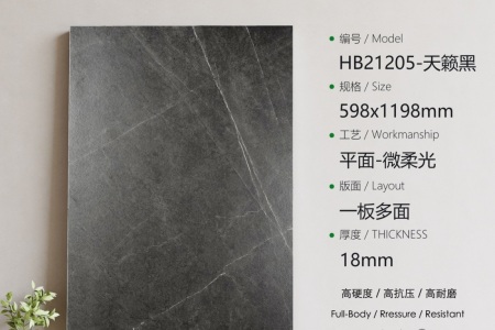 HB21205天籟黑