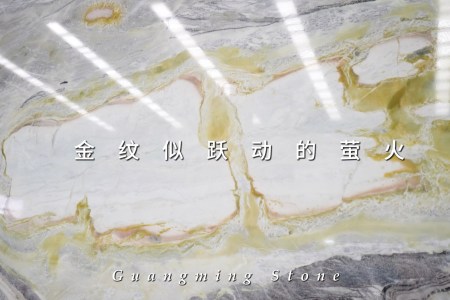 魚肚金