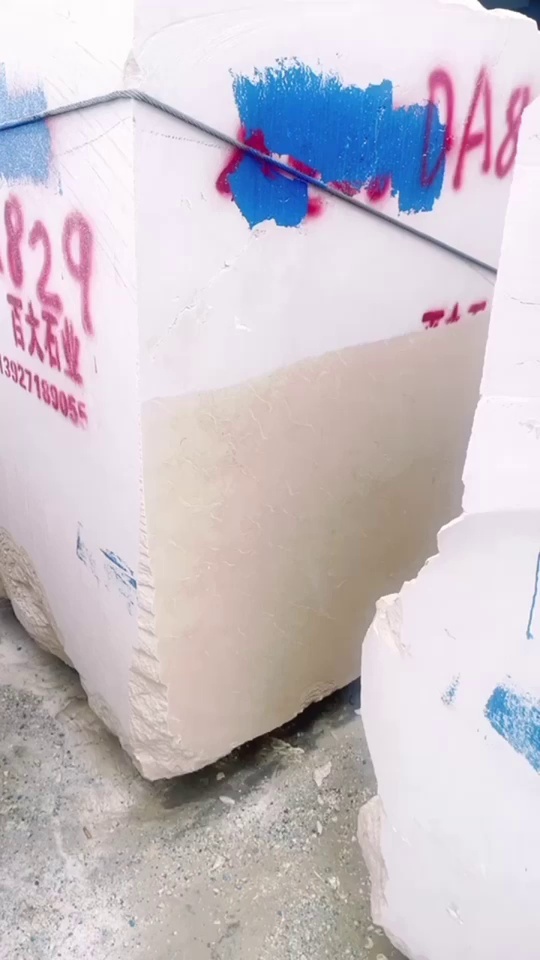 極品莎安娜大料