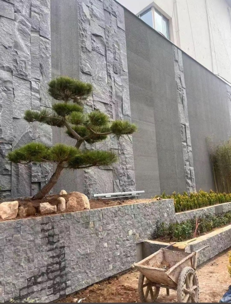 中國黑墻皮石皮