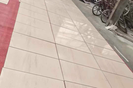 木化石