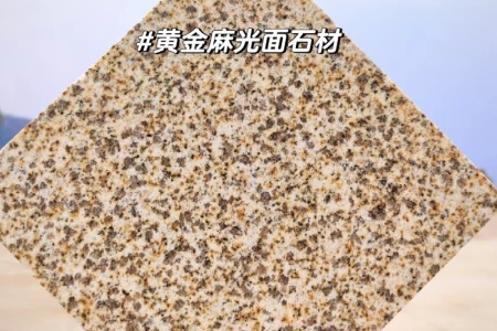 隨州黃金麻大黃