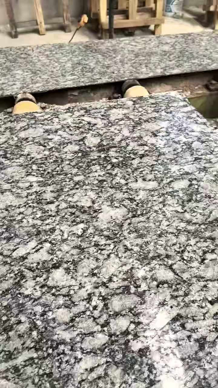 浪花白（海浪花）