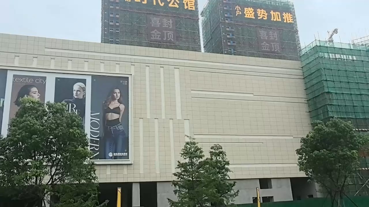 黃金麻案例