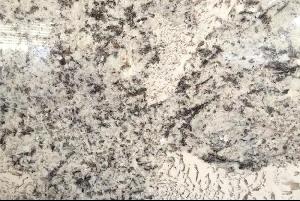 阿拉斯加白