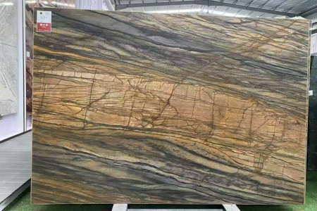 香格里拉棕