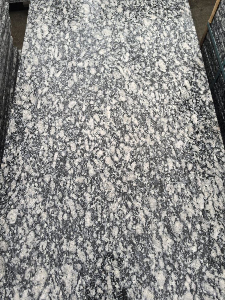海浪花/浪花白
