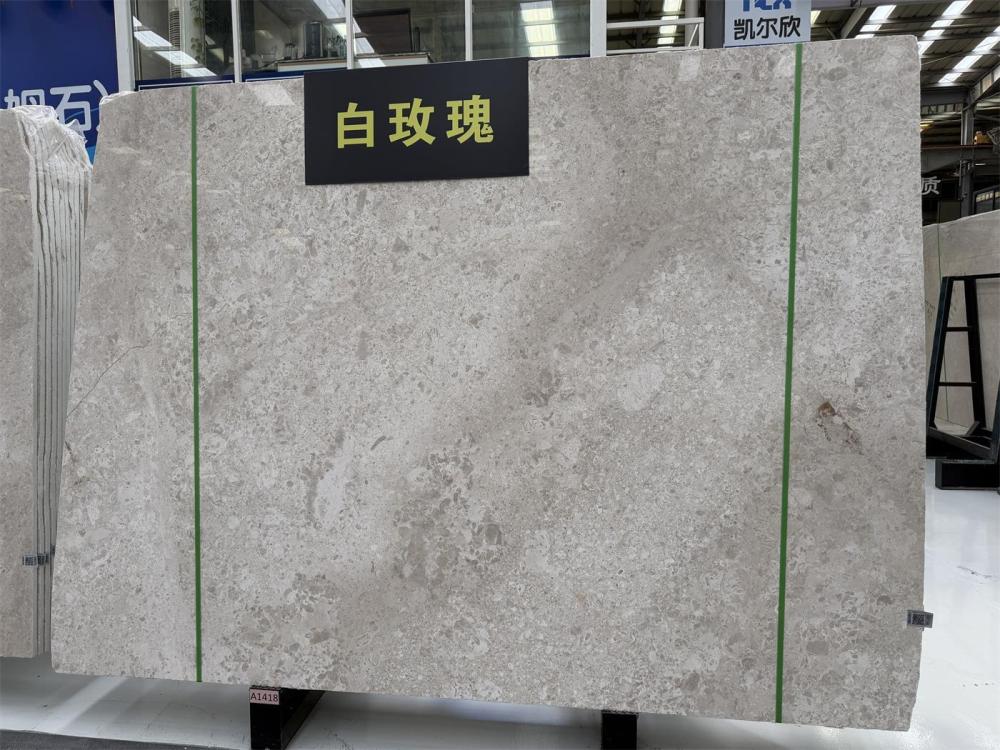白玫瑰