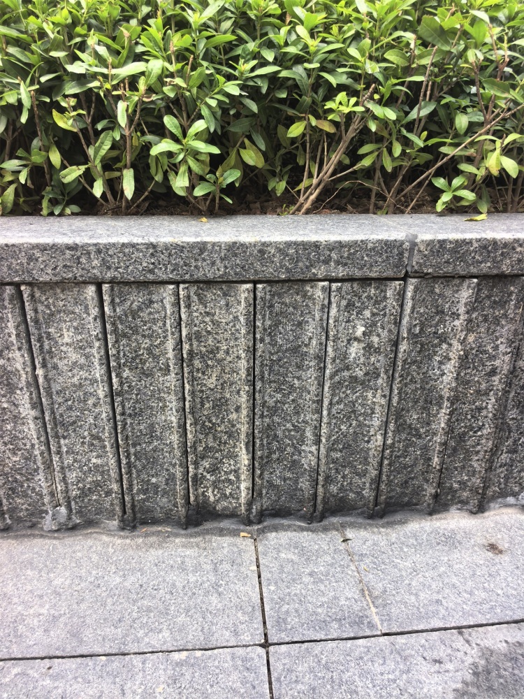 濱州青