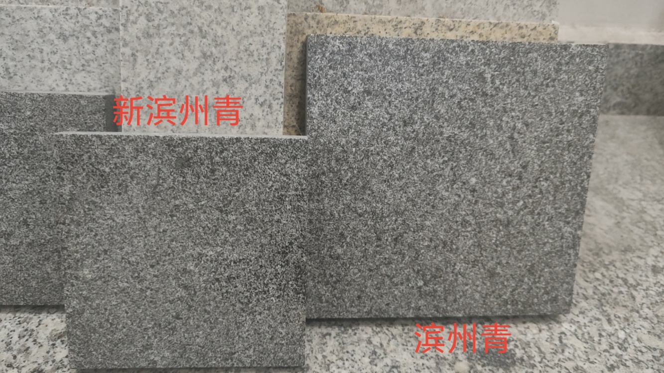 濱州青(北大青)