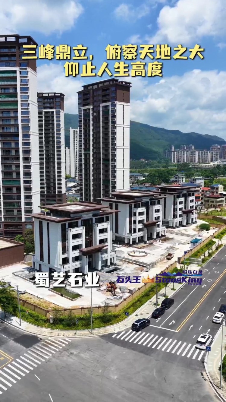 珍珠白金(美國白金)廣東項目案例