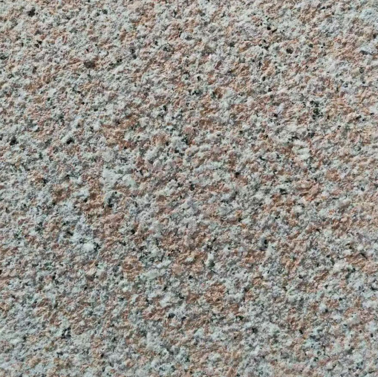 永定紅荔枝面