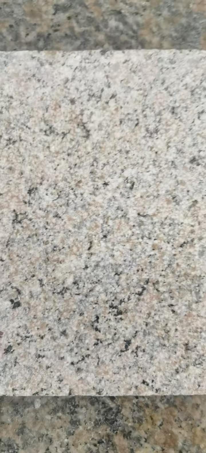 寶麗金荔枝面